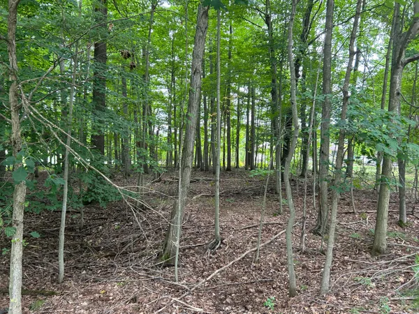 $59,500 | 9523 Fawn Ridge Road, Canadian Lakes, MI 49346