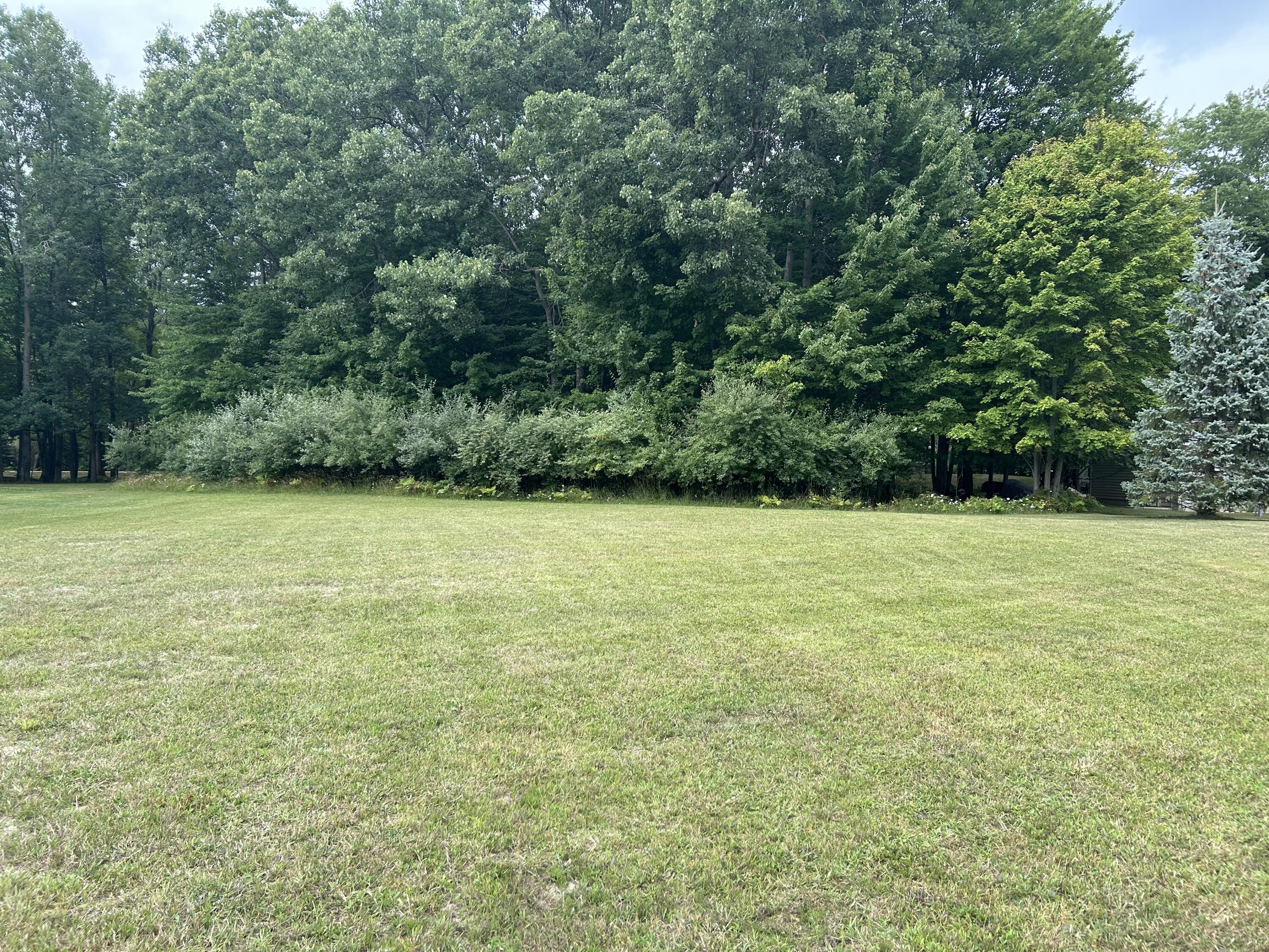 9523 Fawn Ridge Road Stanwood, MI 49346 - Photo 6 of 9 Fawn ridge 5