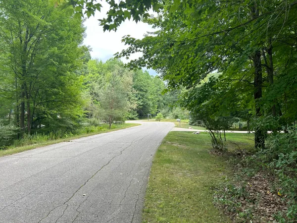 $59,500 | 9523 Fawn Ridge Road, Canadian Lakes, MI 49346