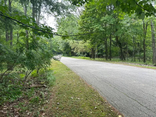 $59,500 | 9523 Fawn Ridge Road, Stanwood, MI 49346