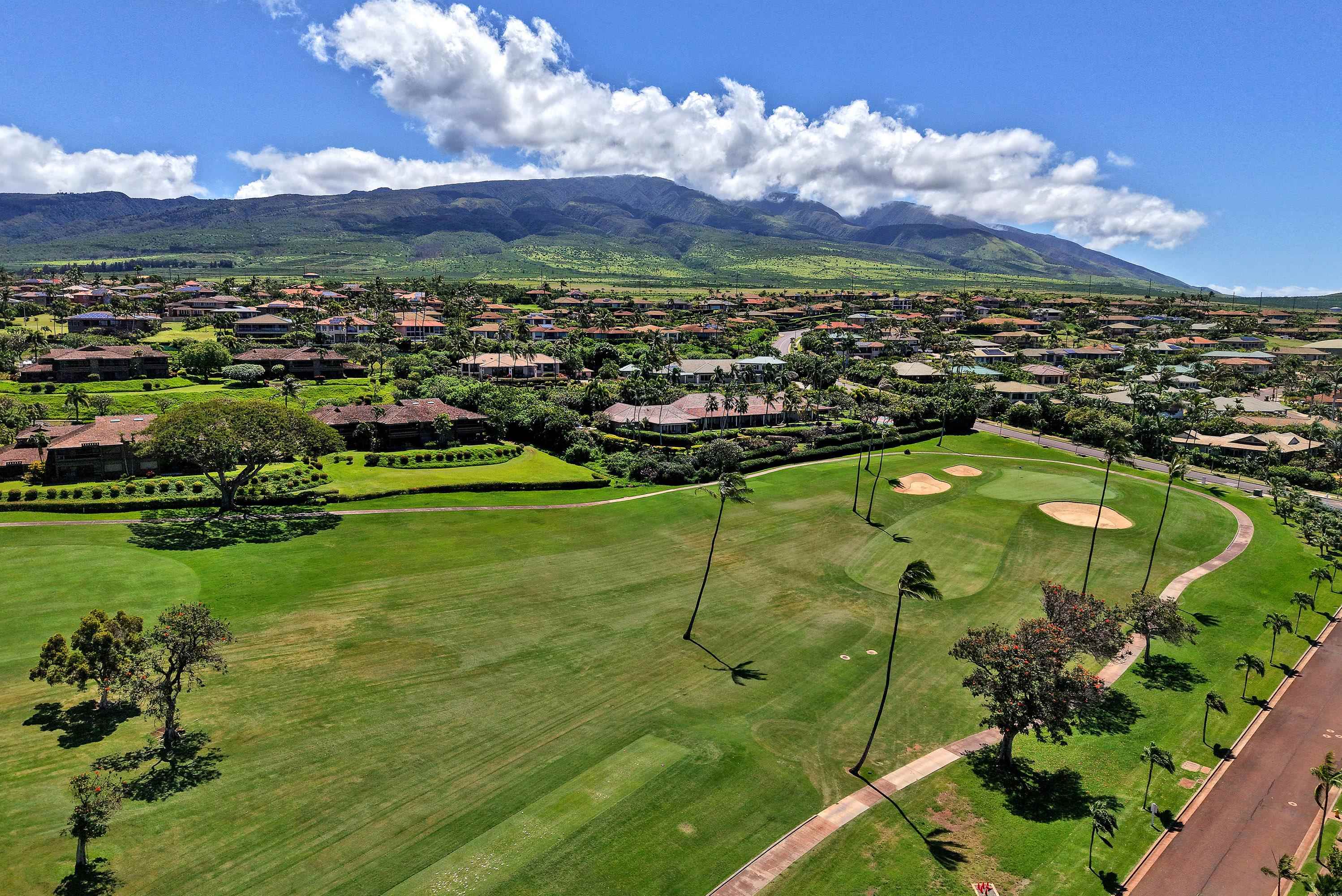 175 Ulukoa Place Lahaina, HI 96761 - Photo 3 of 50 a view of a lake with a city
