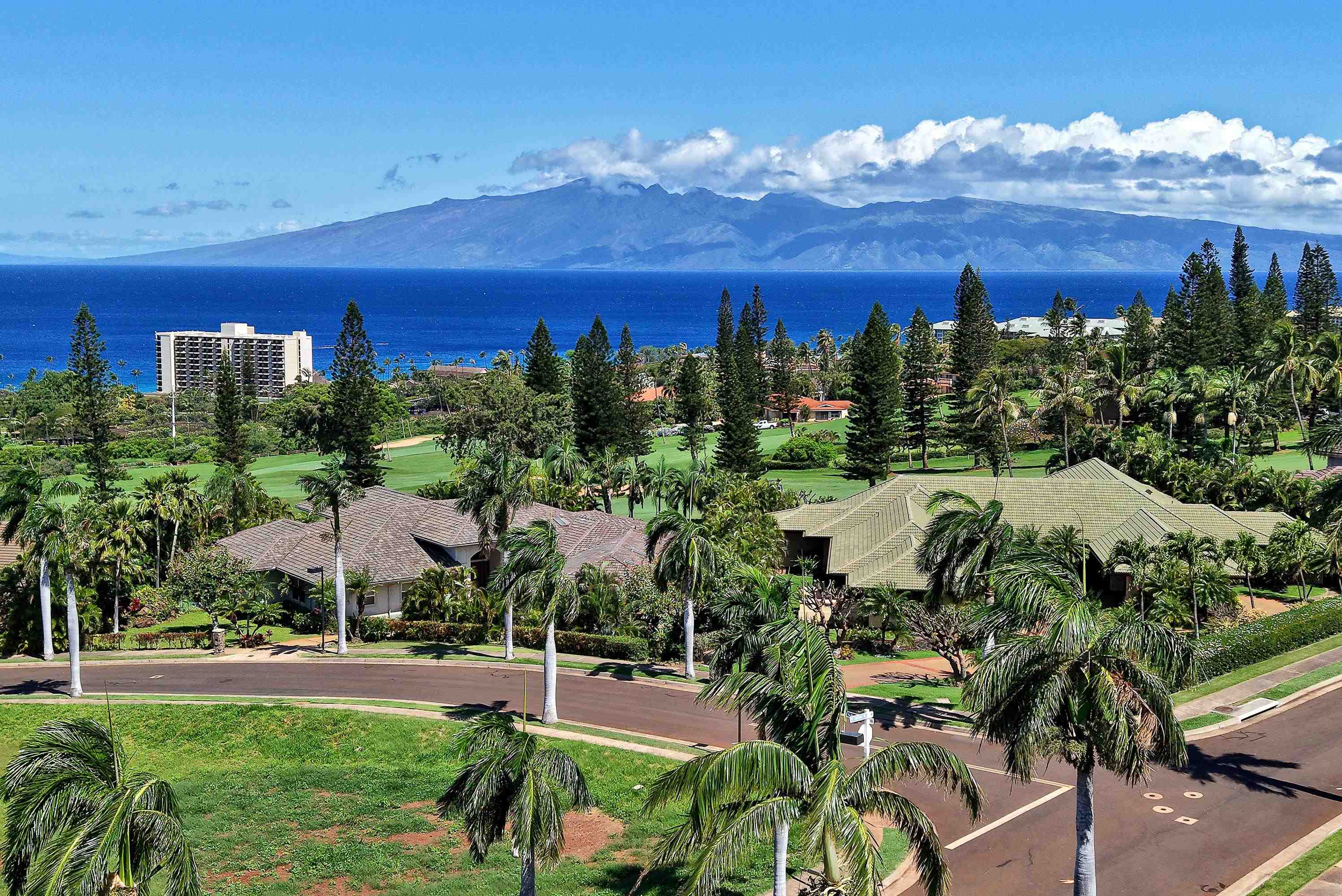 175 Ulukoa Place Lahaina, HI 96761 - Photo 4 of 50 a view of a city with flower garden