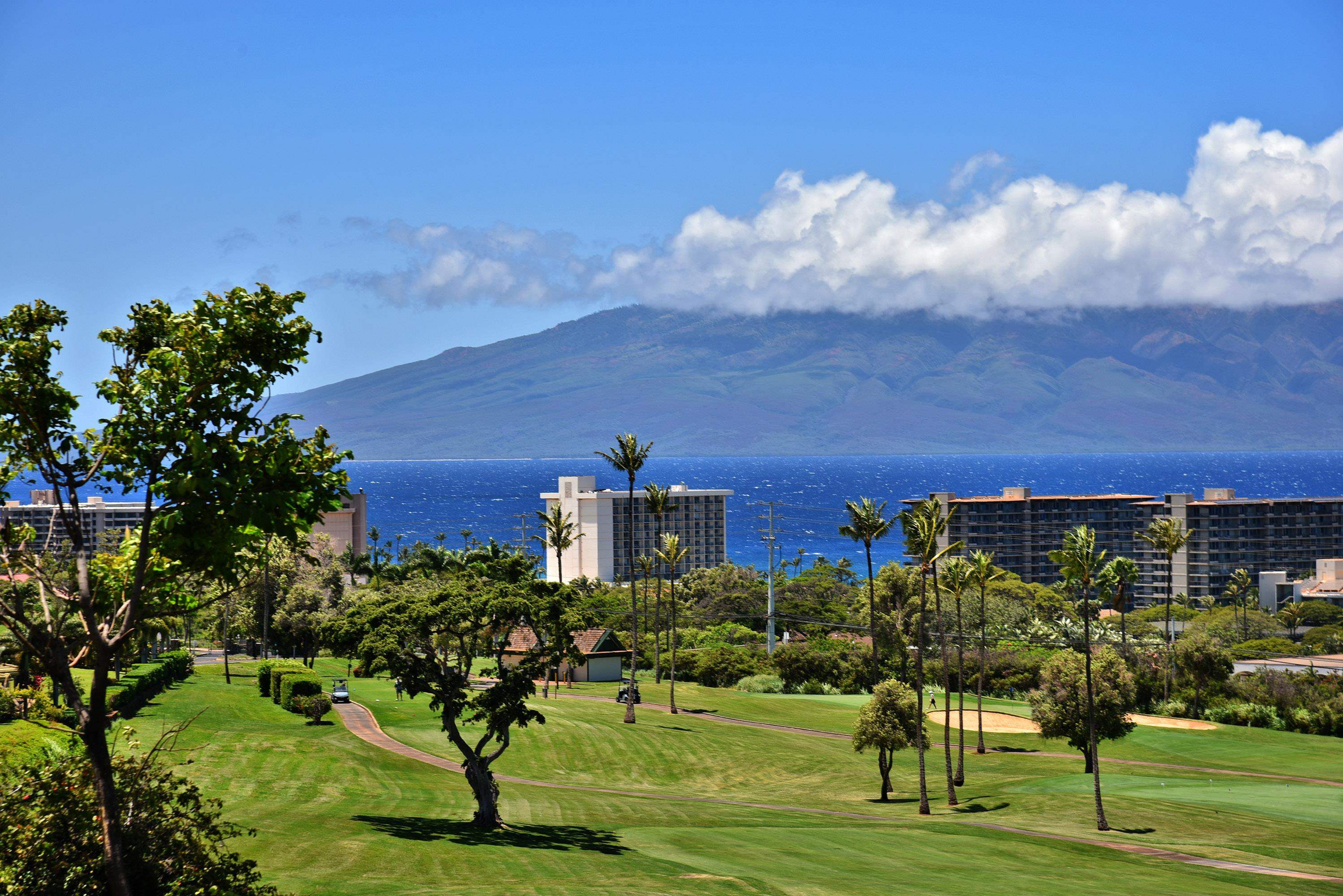 175 Ulukoa Place Lahaina, HI 96761 - Photo 46 of 50 a view of a golf course with a bench