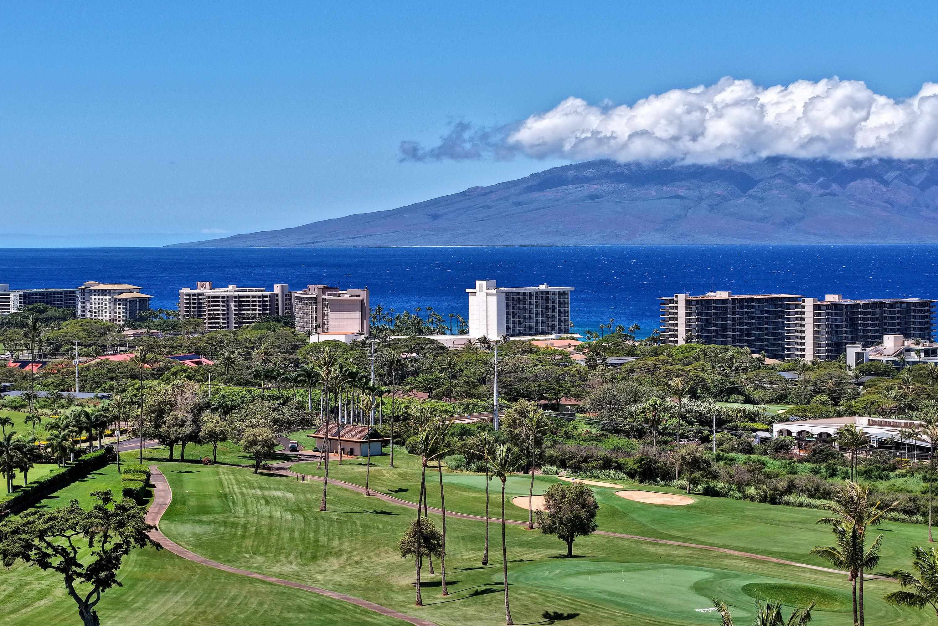 175 Ulukoa Place Lahaina, HI 96761 - Photo 50 of 50