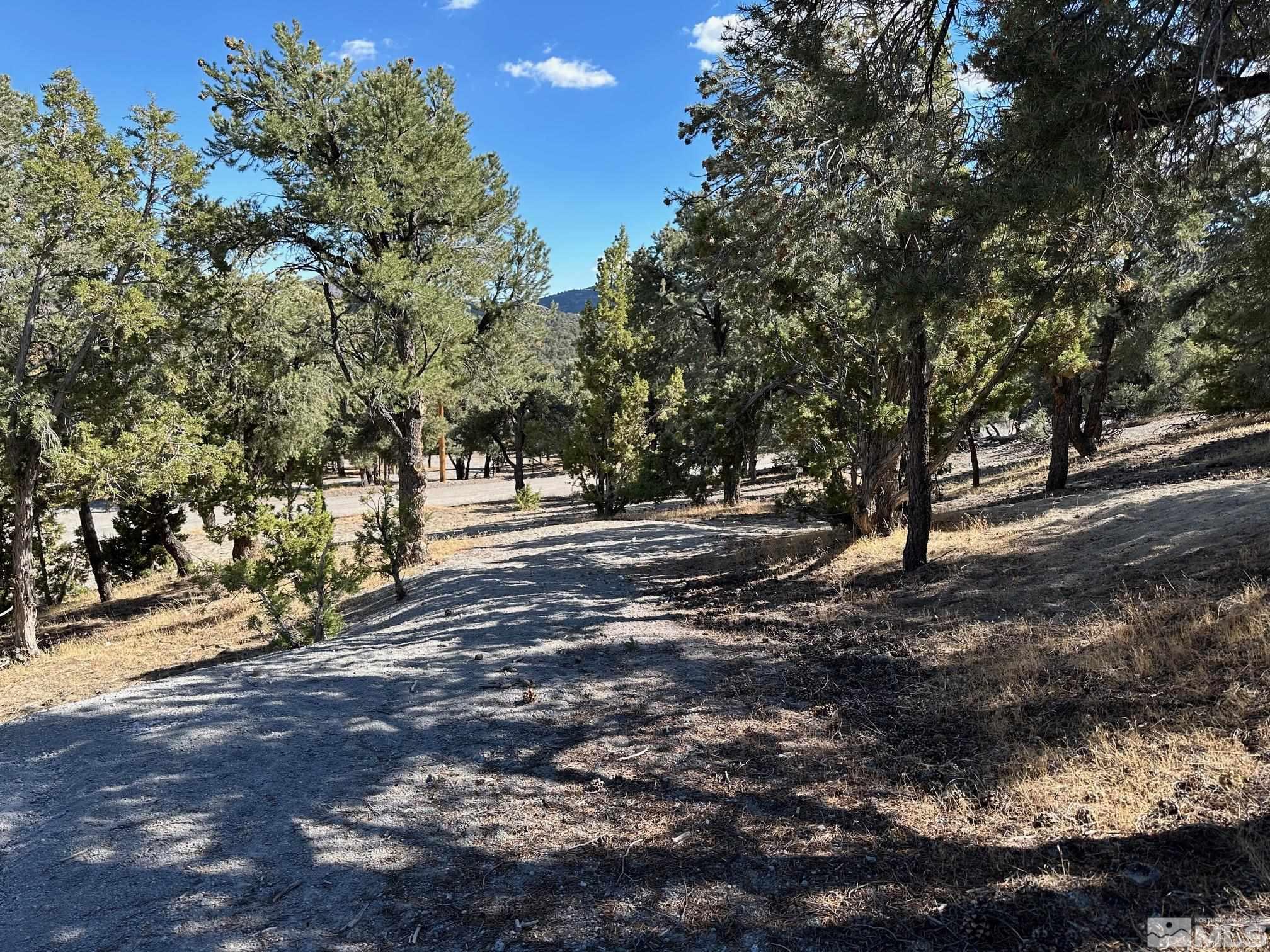 21530 Delta Drive Reno, NV 89521 - Photo 1 of 4 a view of outdoor space with trees