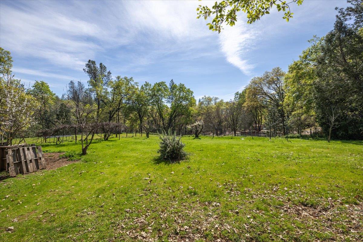 4963 Del Haven Road Placerville, CA 95667 - Photo 41 of 53 a view of yard with swimming pool and green space