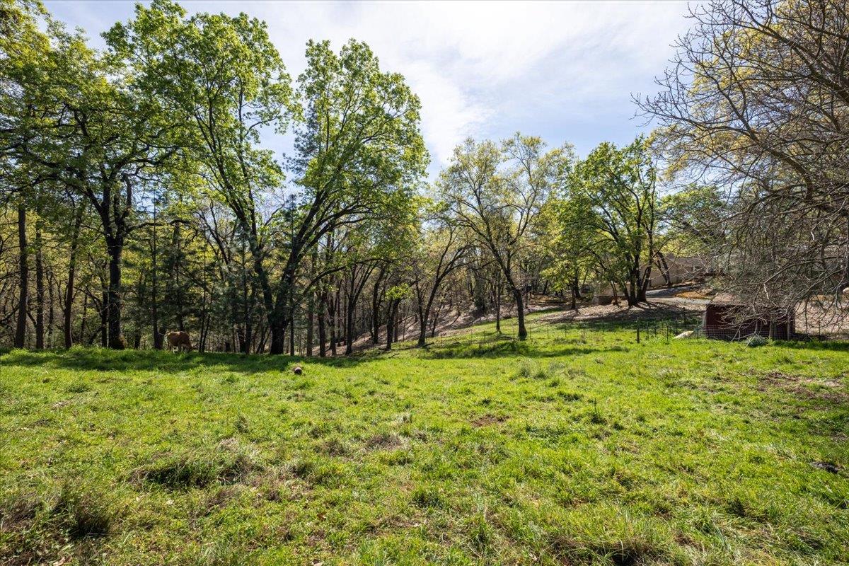 4963 Del Haven Road Placerville, CA 95667 - Photo 44 of 53 a backyard of a house with lots of green space