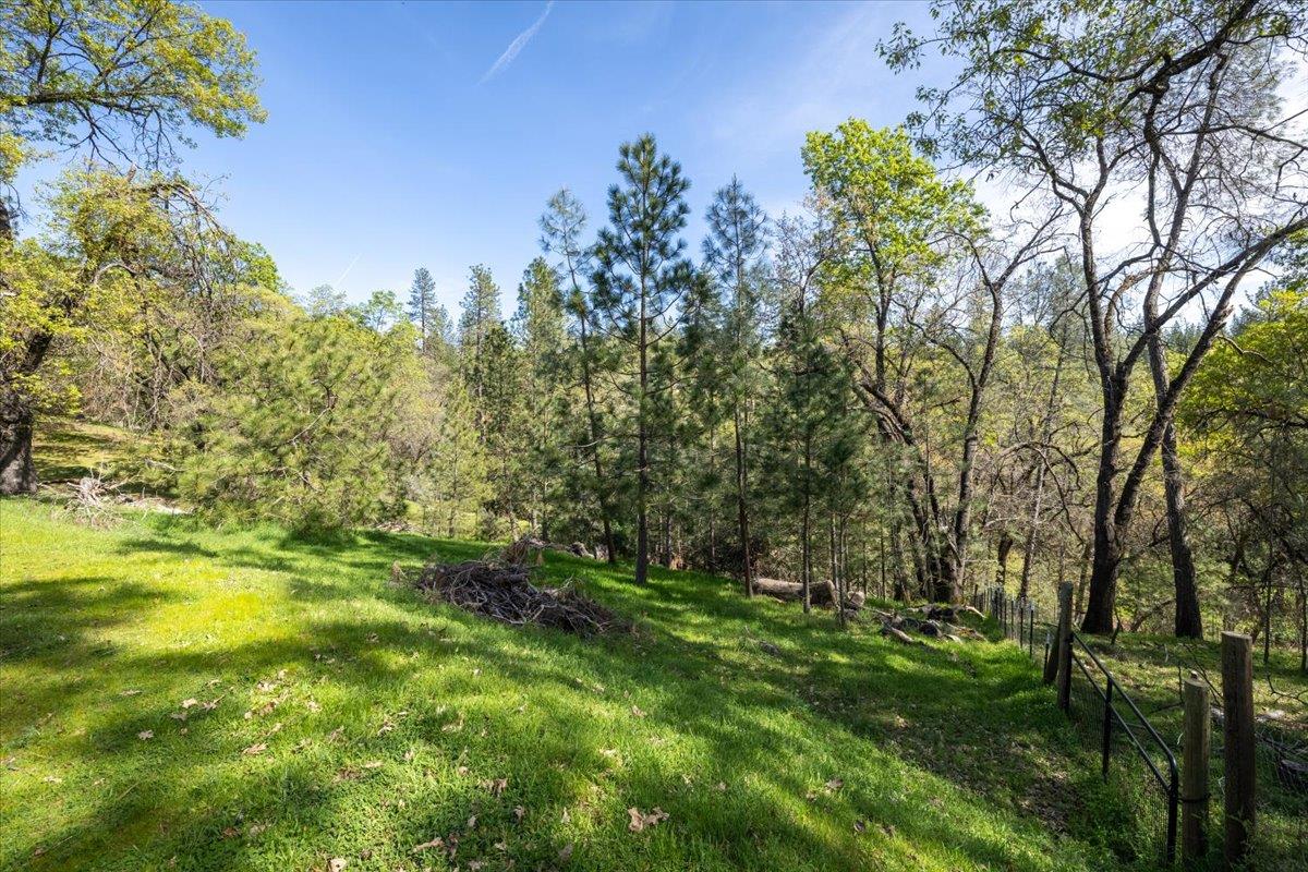 4963 Del Haven Road Placerville, CA 95667 - Photo 46 of 53 a view of outdoor space and yard