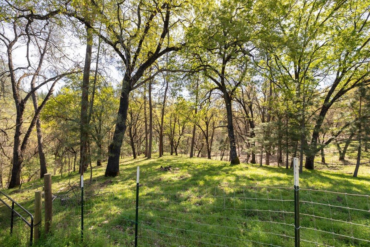 4963 Del Haven Road Placerville, CA 95667 - Photo 47 of 53 a view of an outdoor space