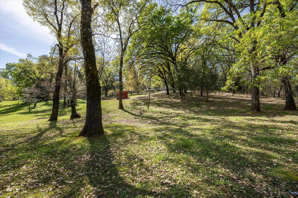4963 Del Haven Road Placerville, CA 95667 - Photo 53 of 53 a yard with trees in the background