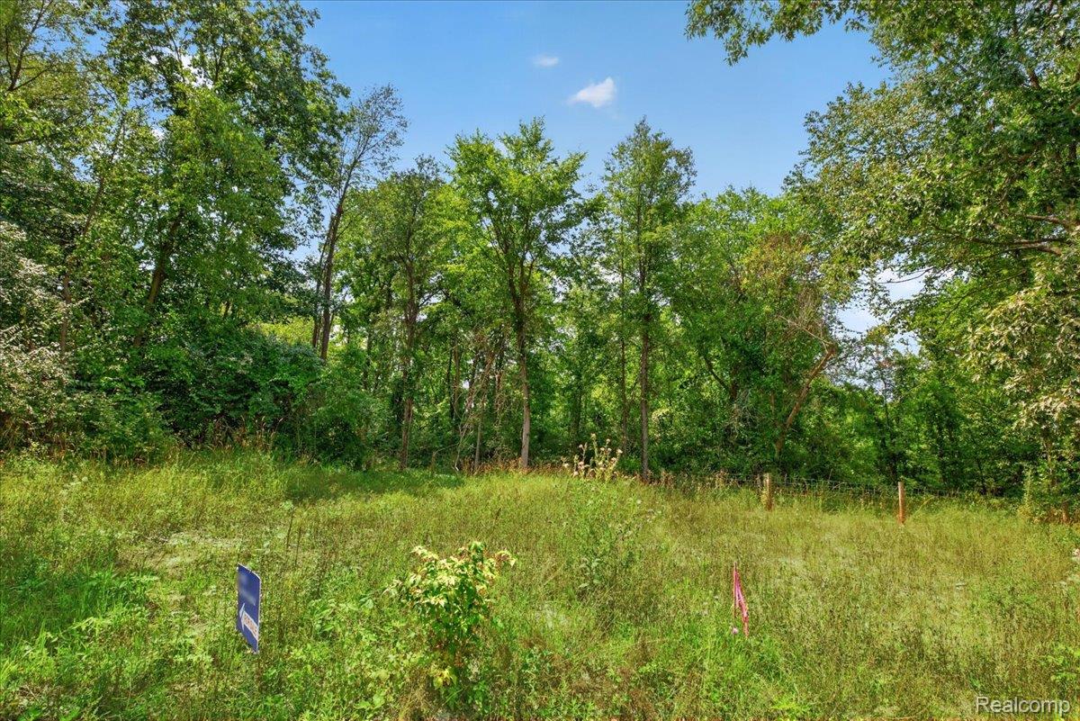 5000 Metamora Ridge Road Metamora, MI 48455 - Photo 14 of 23 06-2026.08.10_Acloutier_5000-5005Metamoraridge399.jpg