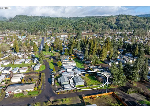 an aerial view of residential houses with outdoor space and trees