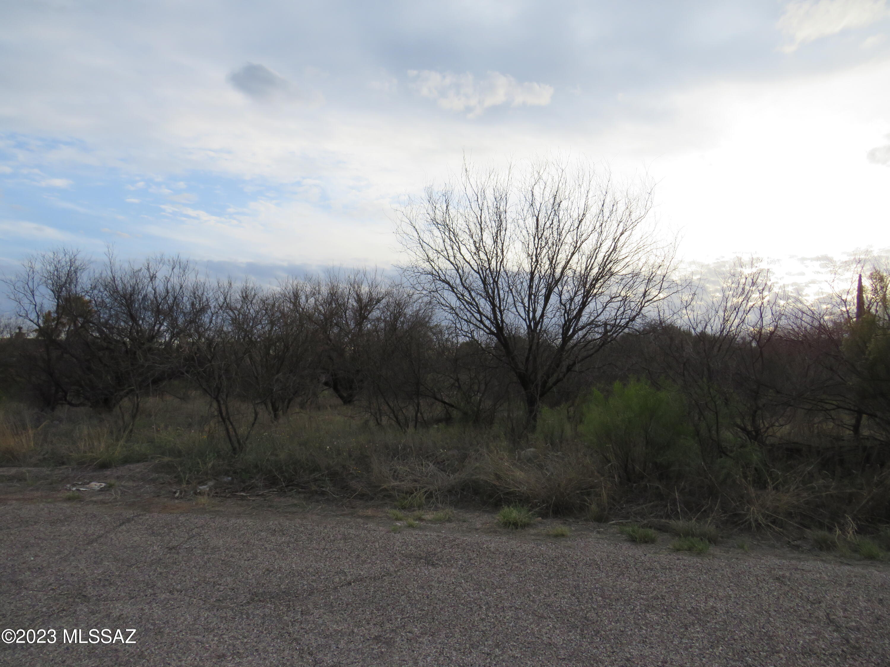 1181 Menta Court, Unit 3 Rio Rico, AZ 85648 - Photo 1 of 2 a view of a yard