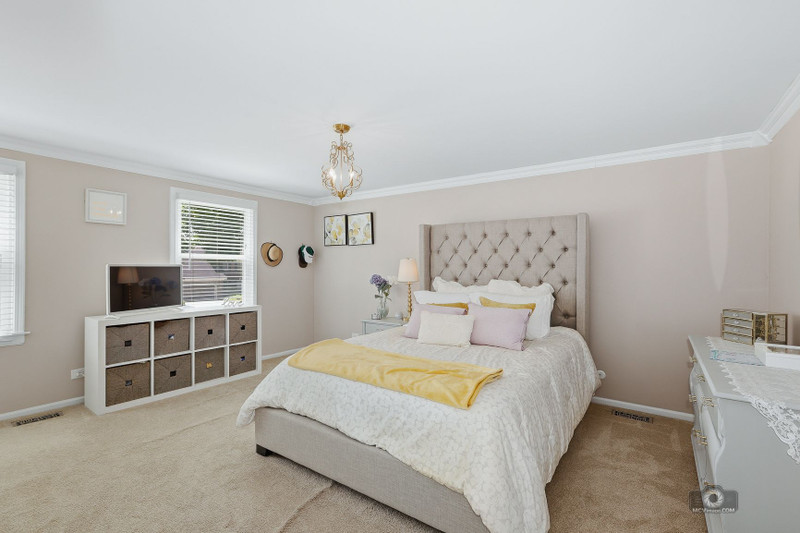619 East Bauer Road Naperville, IL 60563 - Photo 14 of 27