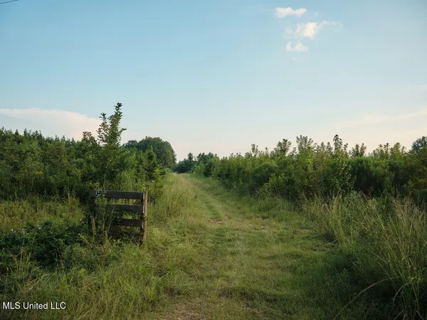 $350,000 | 911 Smith Co Road 563, Pulaski, MS 39152