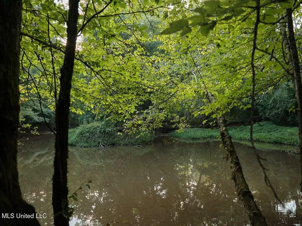 $350,000 | 911 Smith Co Road 563, Pulaski, MS 39152