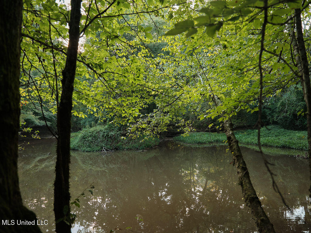 911 Smith Co Road 563 Pulaski, MS 39152 - Photo 11 of 55 DSCF0615