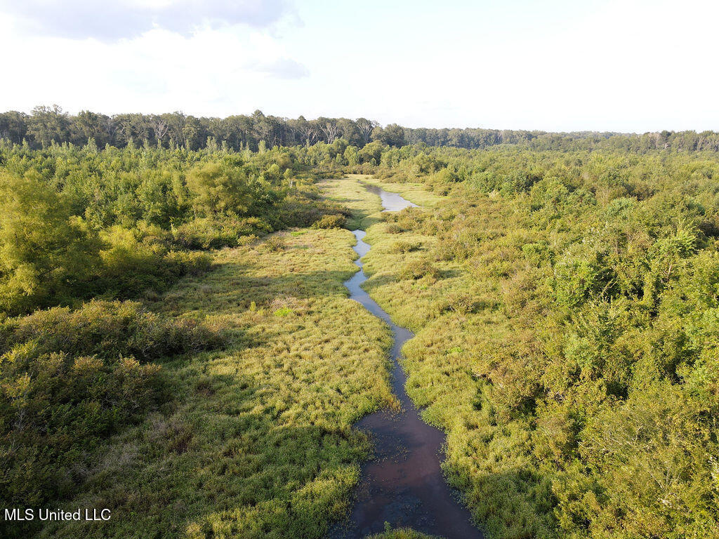 911 Smith Co Road 563 Pulaski, MS 39152 - Photo 2 of 55 dji_fly_20250819_180308_793_175564463281