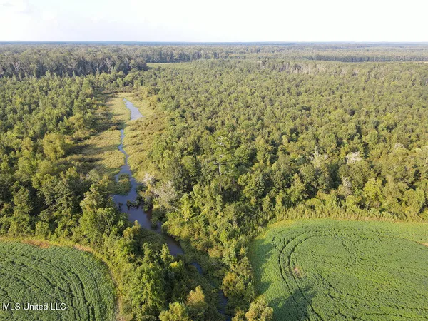 $350,000 | 911 Smith Co Road 563, Pulaski, MS 39152