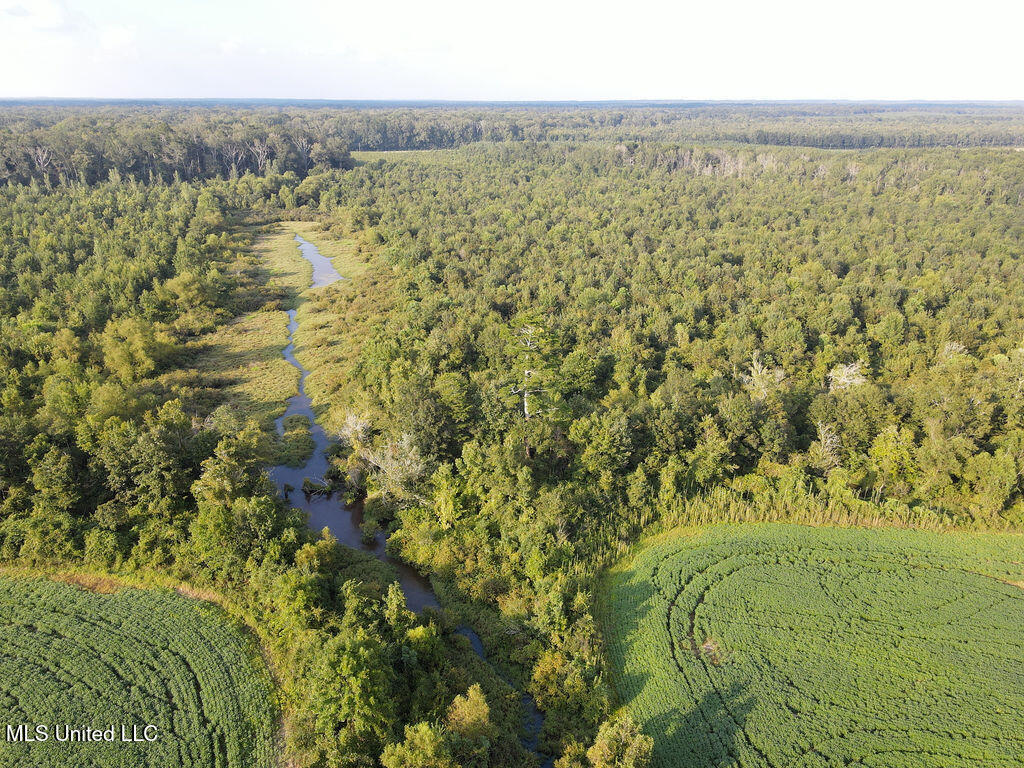 911 Smith Co Road 563 Pulaski, MS 39152 - Photo 3 of 55 dji_fly_20250819_180108_787_175564453954