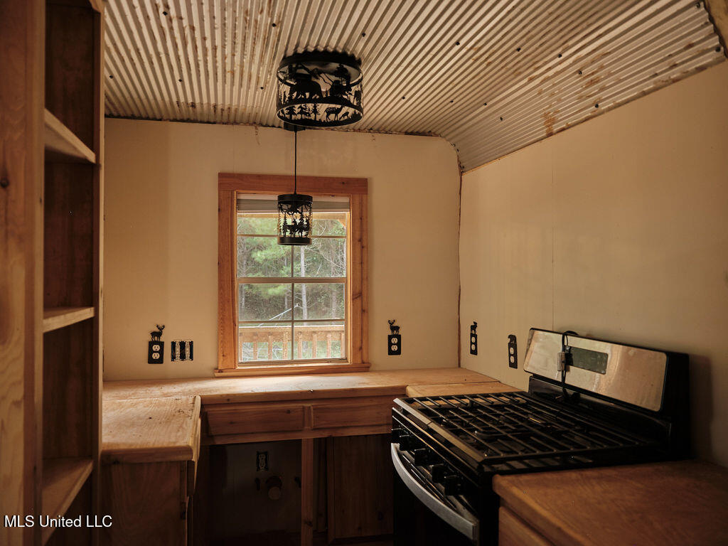 911 Smith Co Road 563 Pulaski, MS 39152 - Photo 34 of 55 DSCF0586