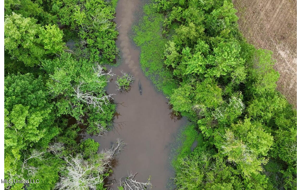 911 Smith Co Road 563 Pulaski, MS 39152 - Photo 35 of 55 IMG_7550