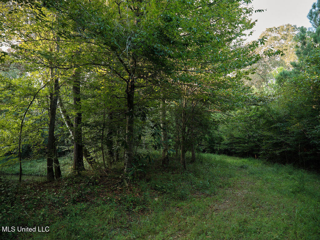 911 Smith Co Road 563 Pulaski, MS 39152 - Photo 36 of 55 DSCF0614
