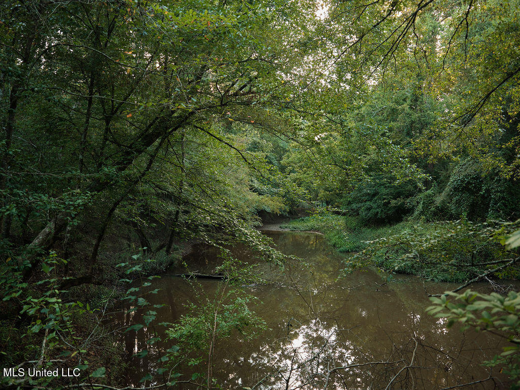 911 Smith Co Road 563 Pulaski, MS 39152 - Photo 37 of 55 DSCF0618