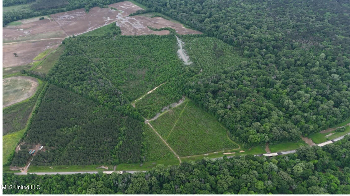 911 Smith Co Road 563 Pulaski, MS 39152 - Photo 40 of 55 IMG_7563