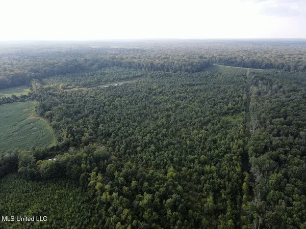 $350,000 | 911 Smith Co Road 563, Pulaski, MS 39152