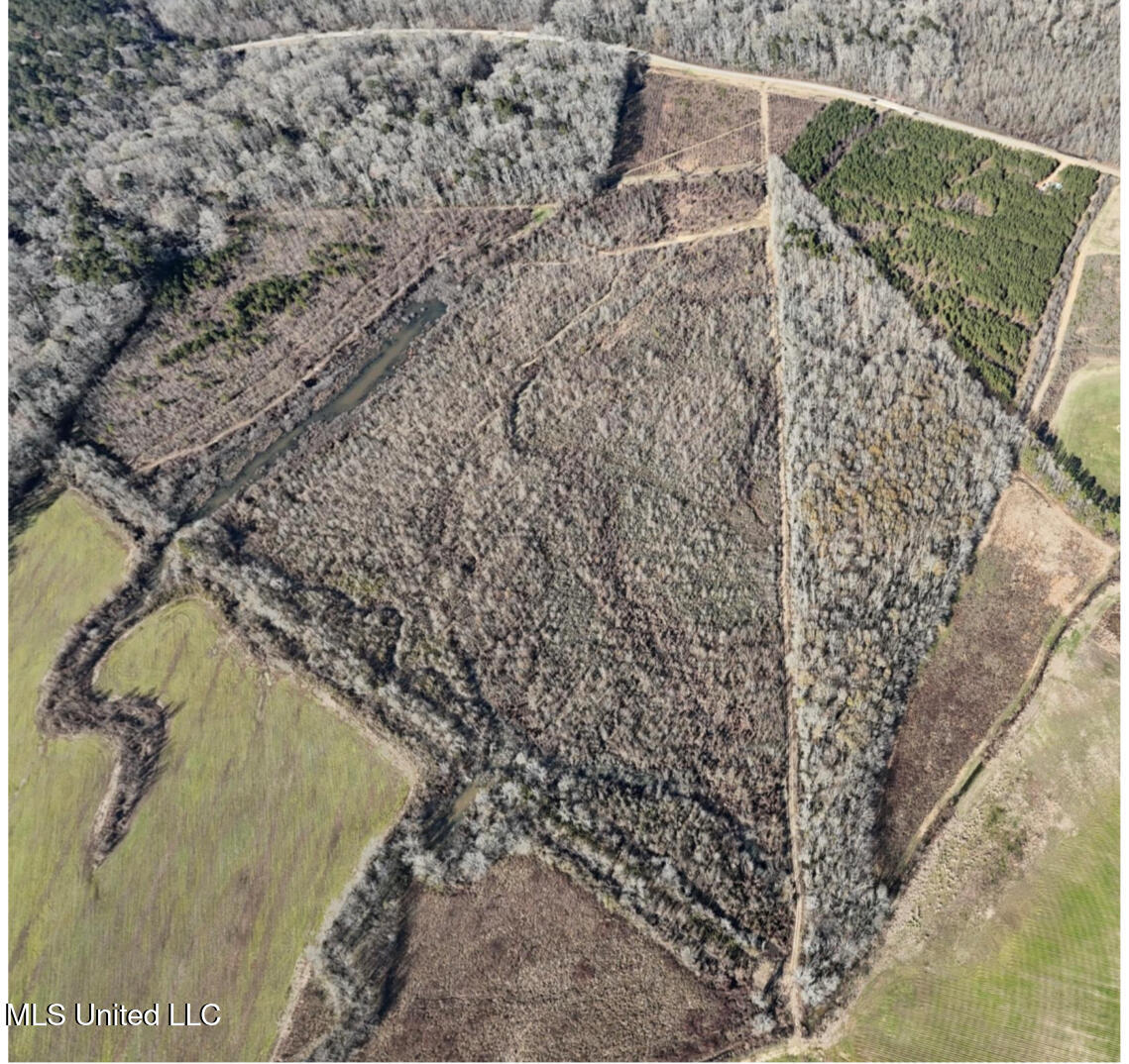 911 Smith Co Road 563 Pulaski, MS 39152 - Photo 41 of 55 IMG_7556