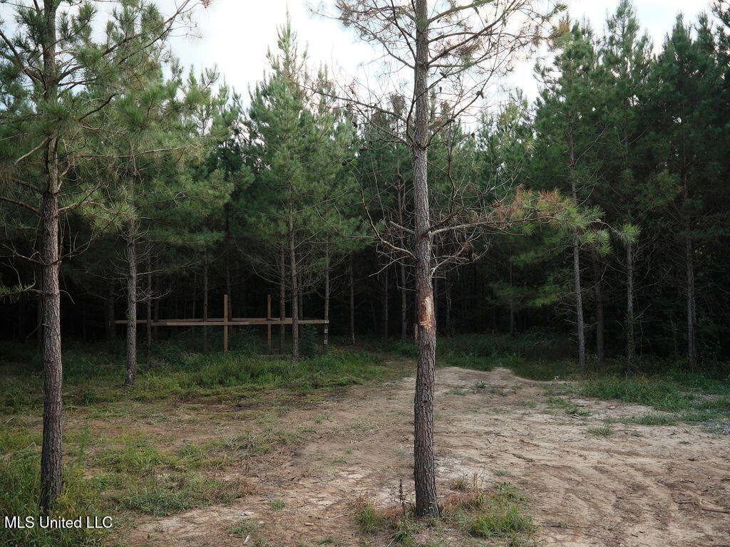 911 Smith Co Road 563 Pulaski, MS 39152 - Photo 42 of 55 DSCF0588