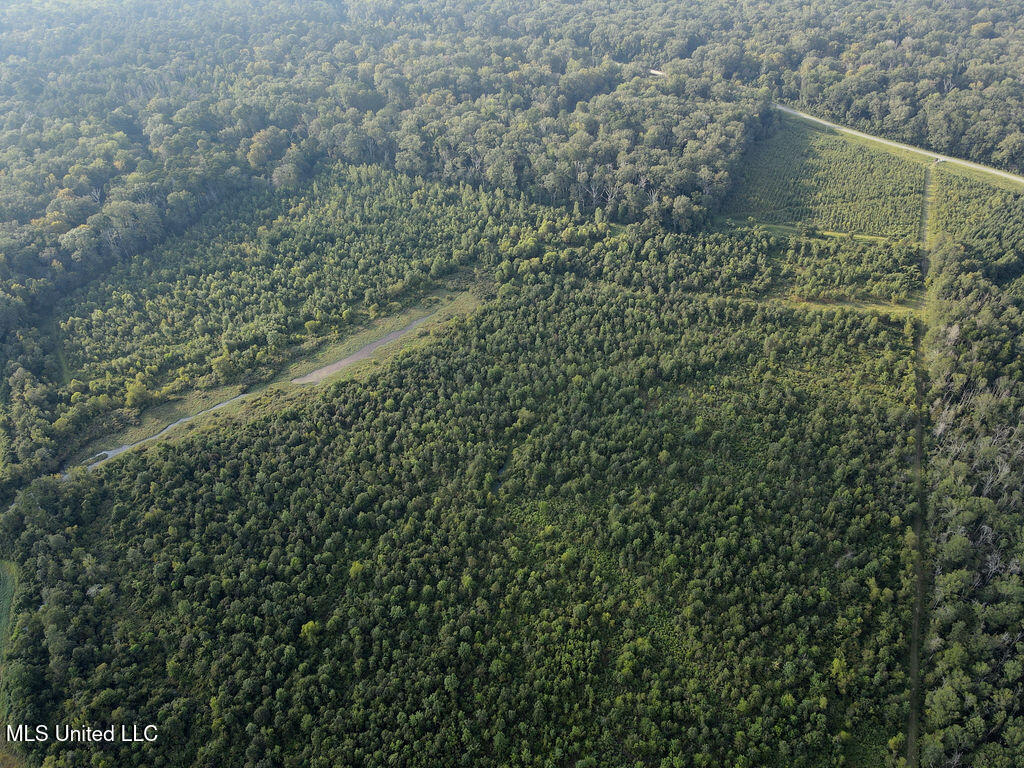 911 Smith Co Road 563 Pulaski, MS 39152 - Photo 5 of 55 dji_fly_20250819_175924_785_175564437779