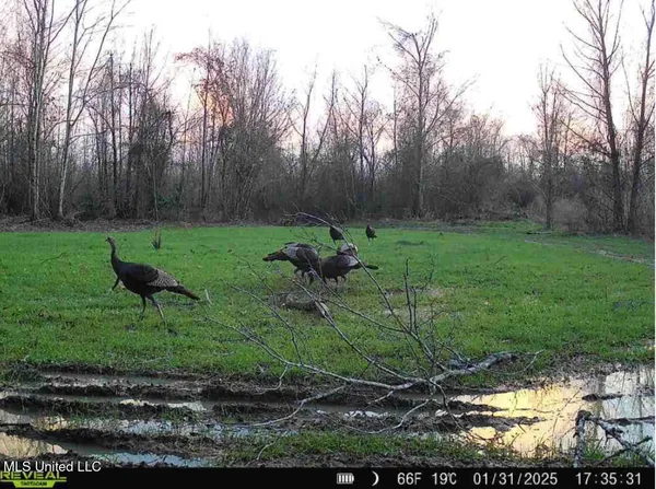 $350,000 | 911 Smith Co Road 563, Pulaski, MS 39152