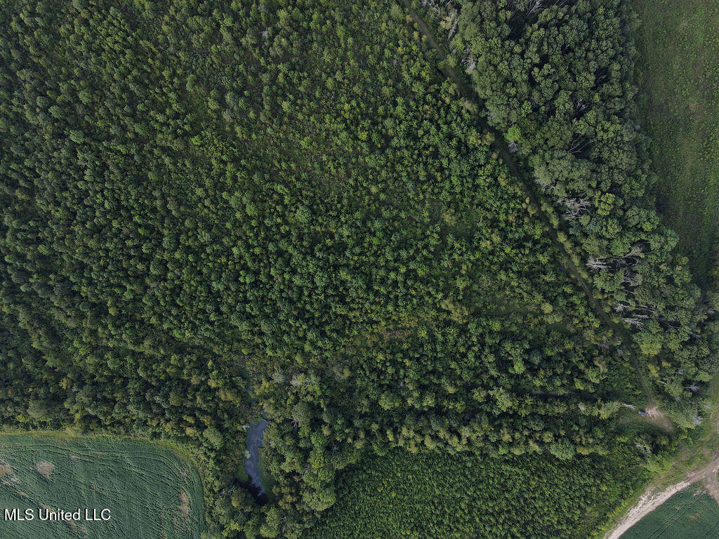 911 Smith Co Road 563 Pulaski, MS 39152 - Photo 6 of 55 dji_fly_20250819_175846_783_175564433468