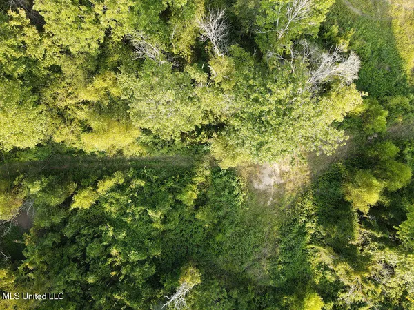 $350,000 | 911 Smith Co Road 563, Pulaski, MS 39152