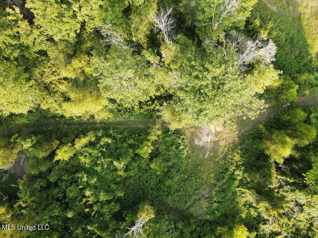 911 Smith Co Road 563 Pulaski, MS 39152 - Photo 7 of 55 dji_fly_20250819_180448_794_175564469948