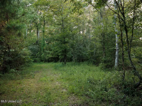 $350,000 | 911 Smith Co Road 563, Pulaski, MS 39152