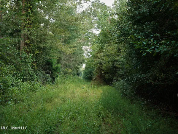 $350,000 | 911 Smith Co Road 563, Pulaski, MS 39152
