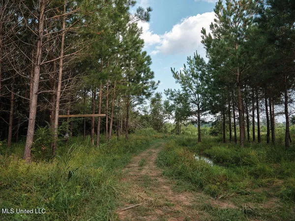 $350,000 | 911 Smith Co Road 563, Pulaski, MS 39152
