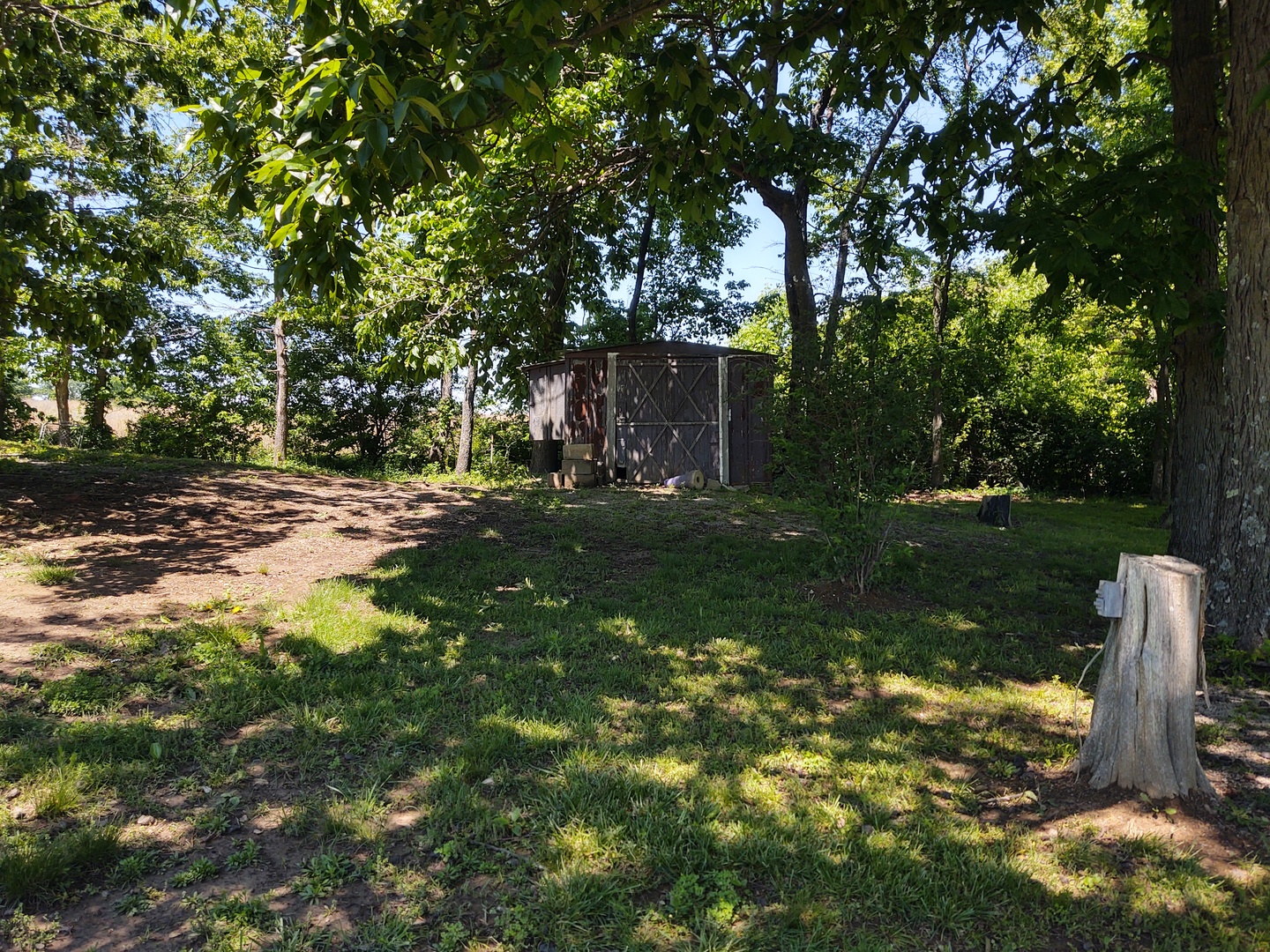 1045 Ozark Road Ozark, IL 62972 - Photo 9 of 17 a backyard of a house with lots of green space