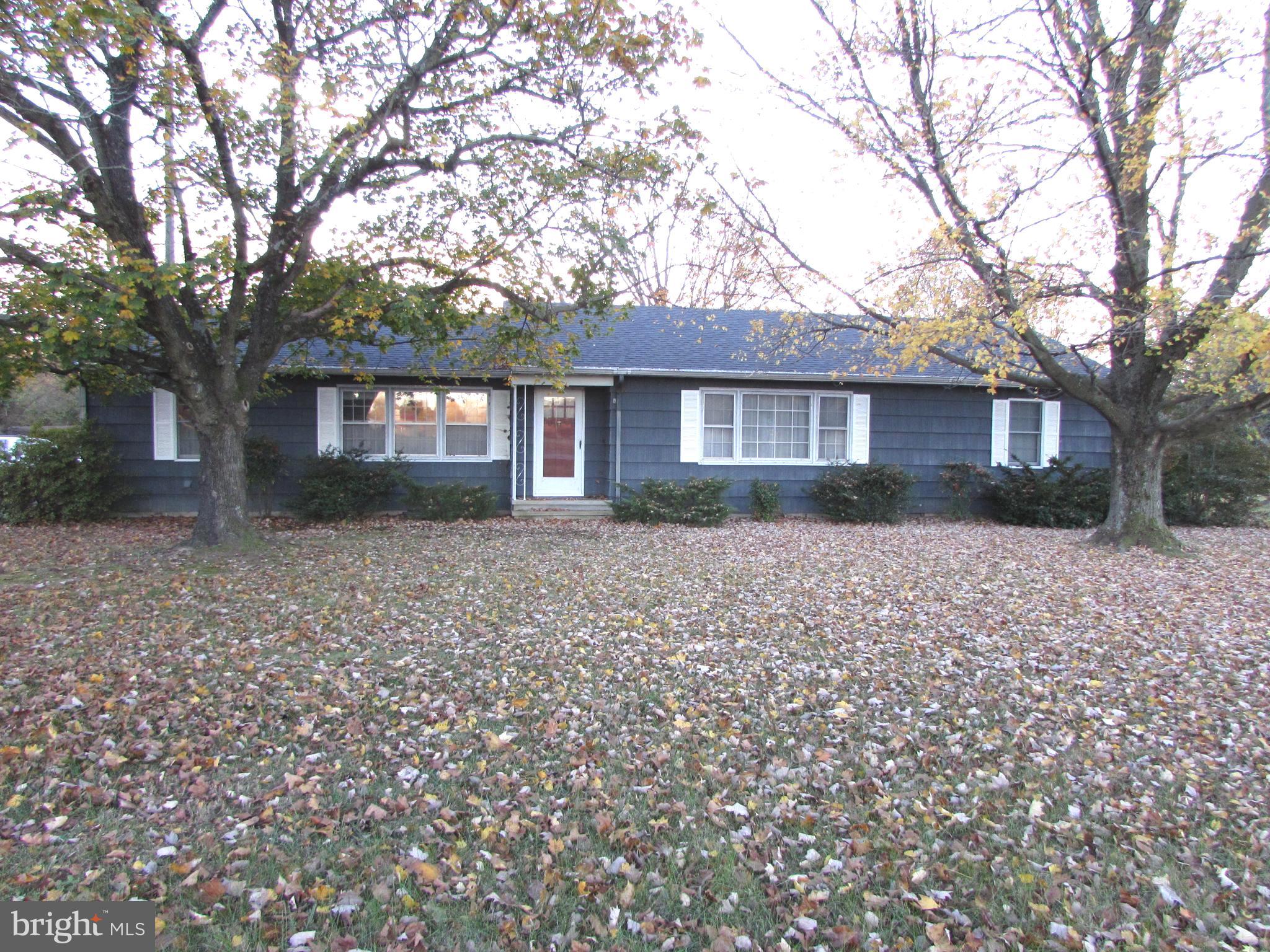 front view of house with a yard