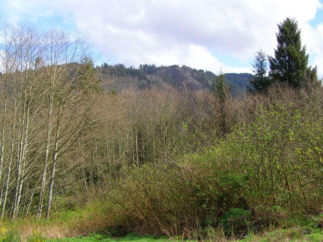 23 Skyview Road Tillamook, OR 97141 - Photo 22 of 41 P3180300