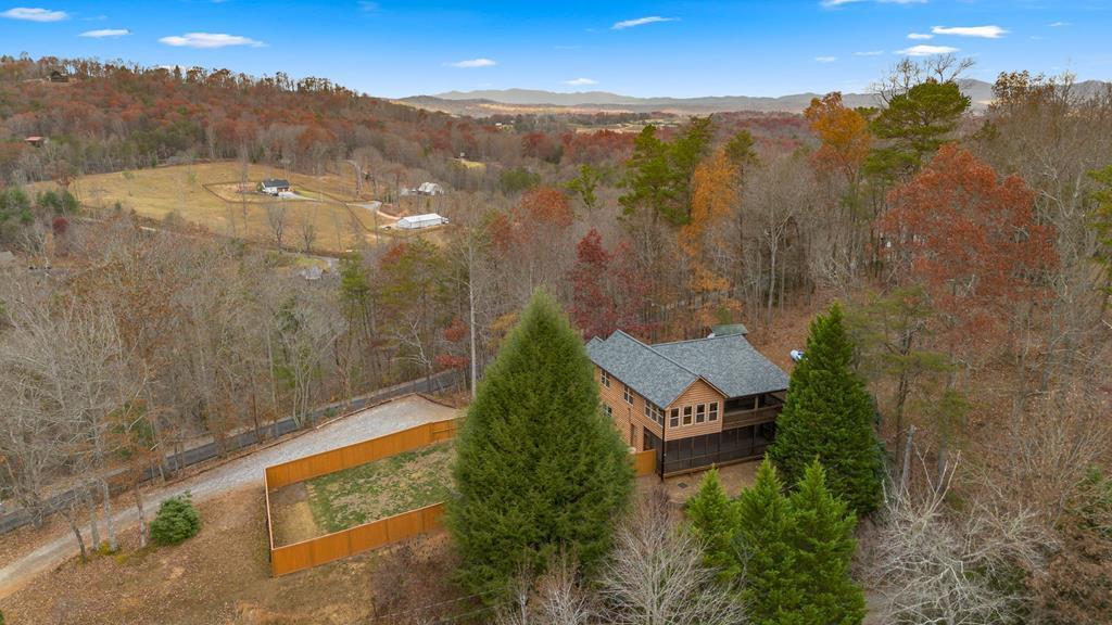 256 Mountain Hideaway Drive Blue Ridge, GA 30513 - Photo 1 of 50 Main View