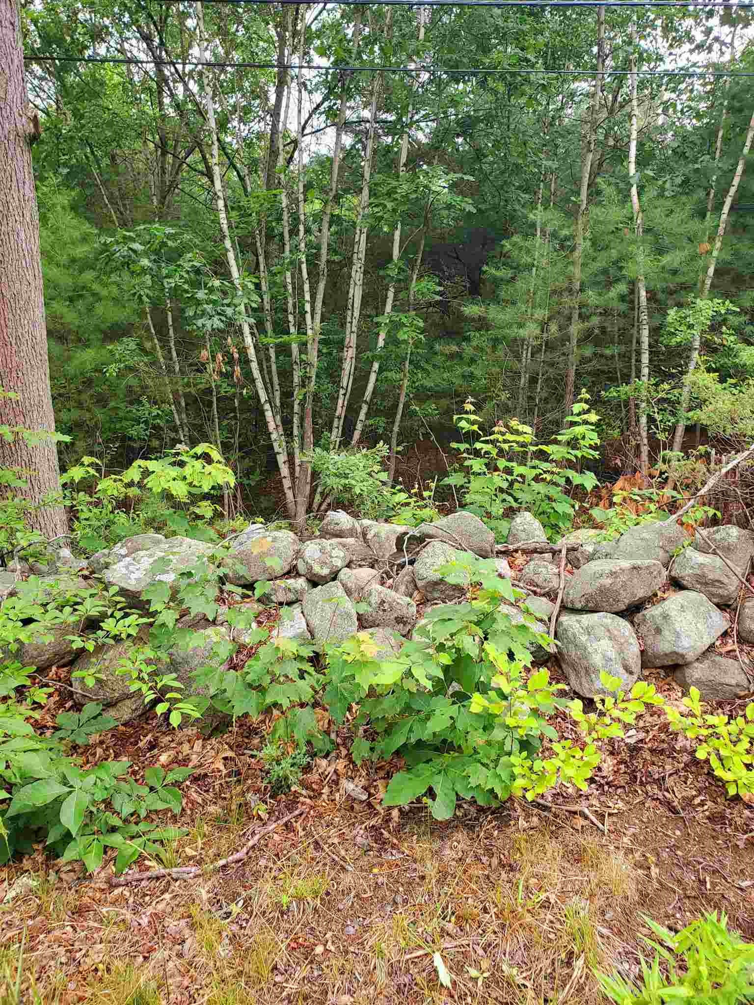 2 Colonel Wilkins Road Amherst, NH 03031 - Photo 6 of 9 Gallery Image 6