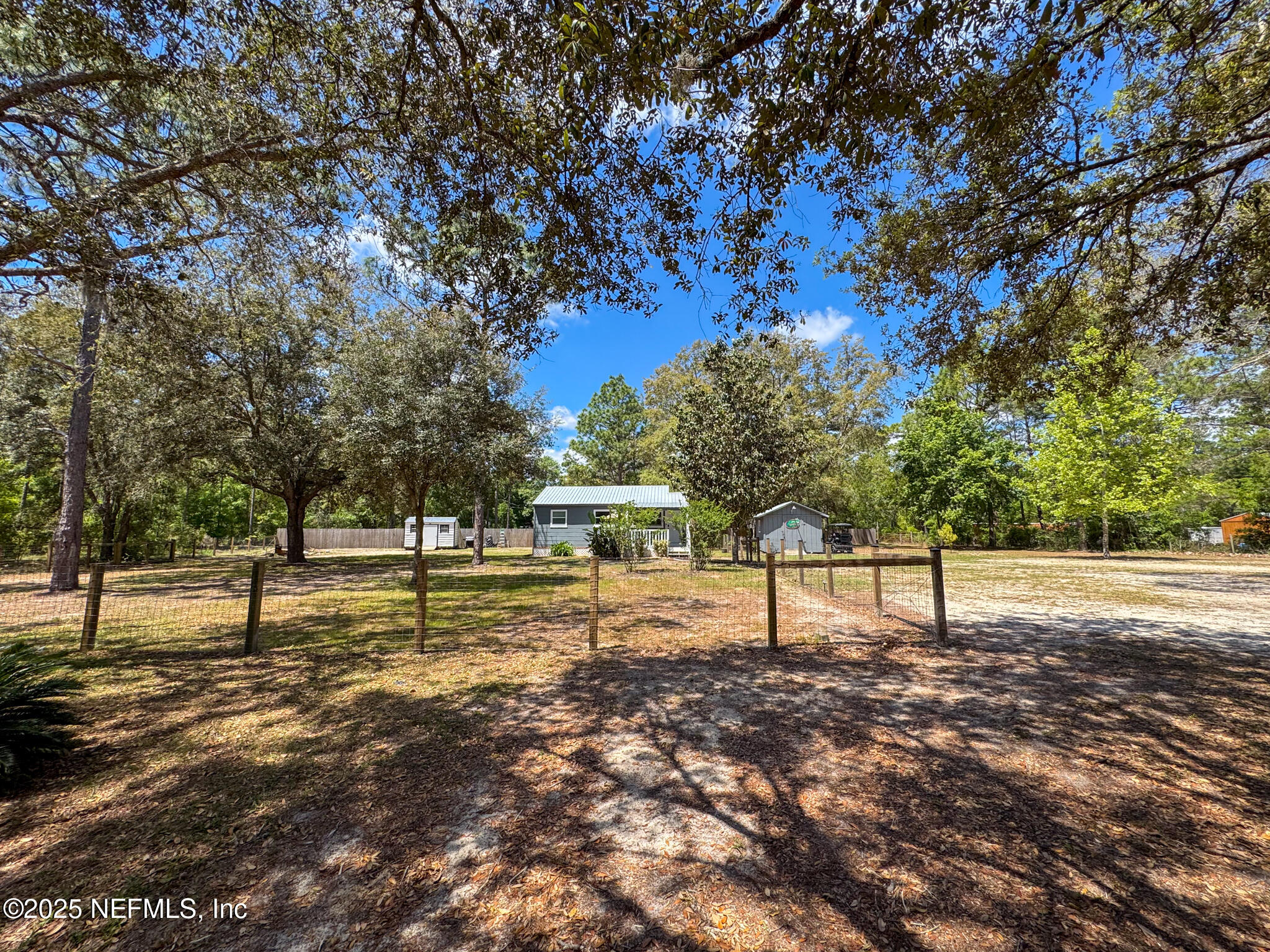 109 Mason Road Melrose, FL 32666 - Photo 23 of 27 a view of a yard with a tree
