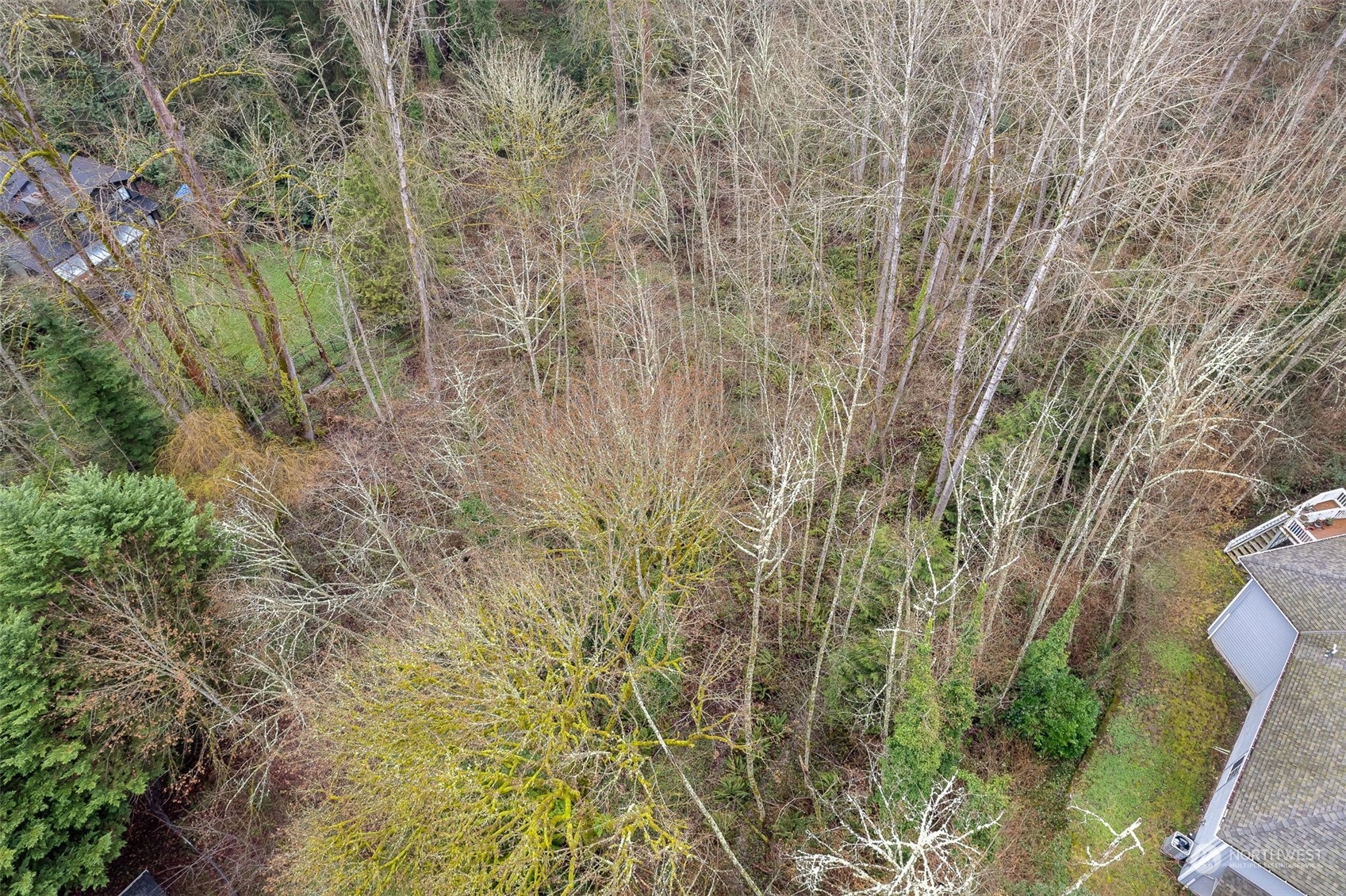 16 76th Place Northeast Kenmore, WA 98028 - Photo 5 of 8