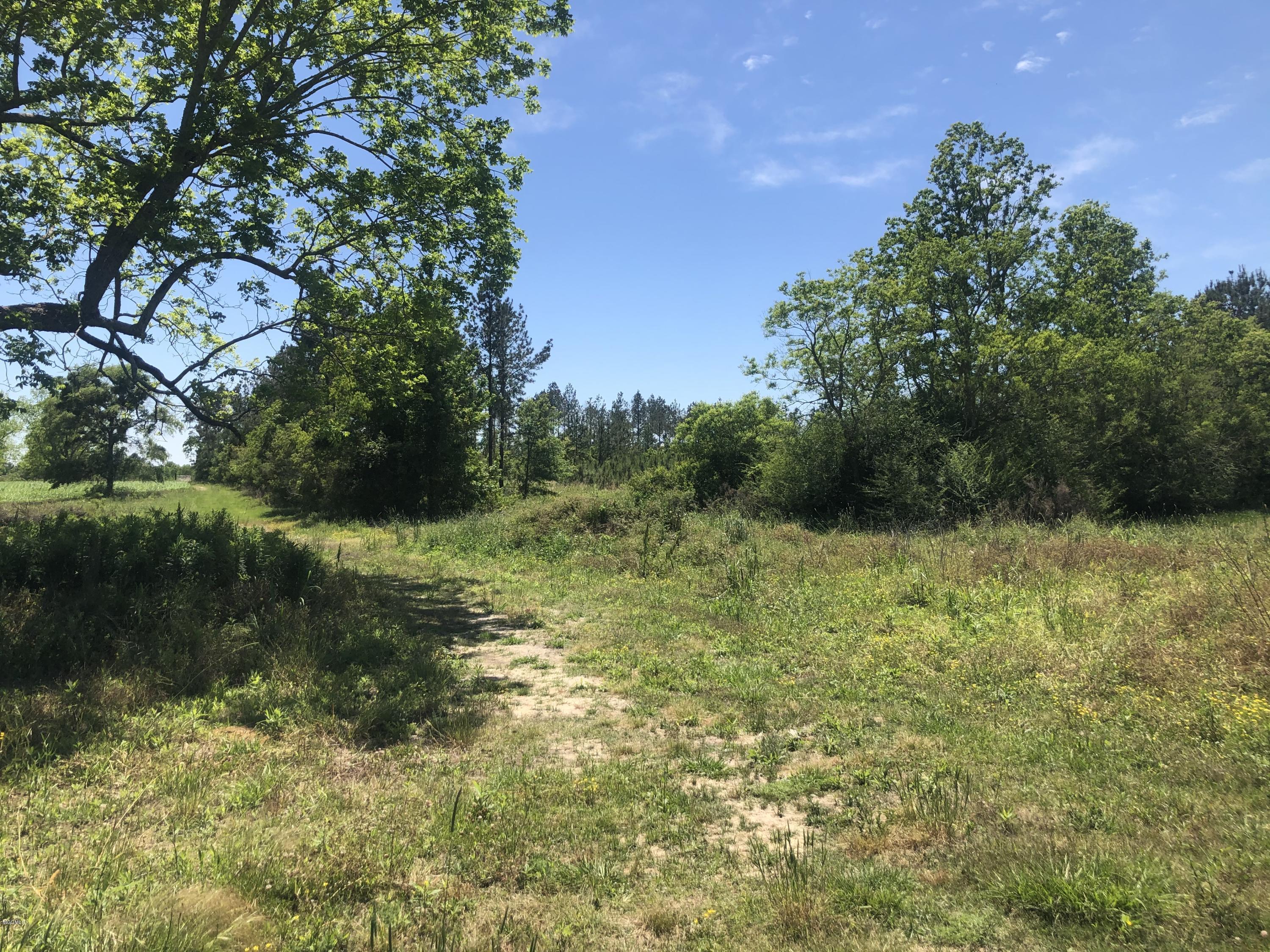 0 Highway 614 Moss Point, MS 39562 - Photo 1 of 2 A8D1DA0B-F372-432A-9B96-1EC50691BD34