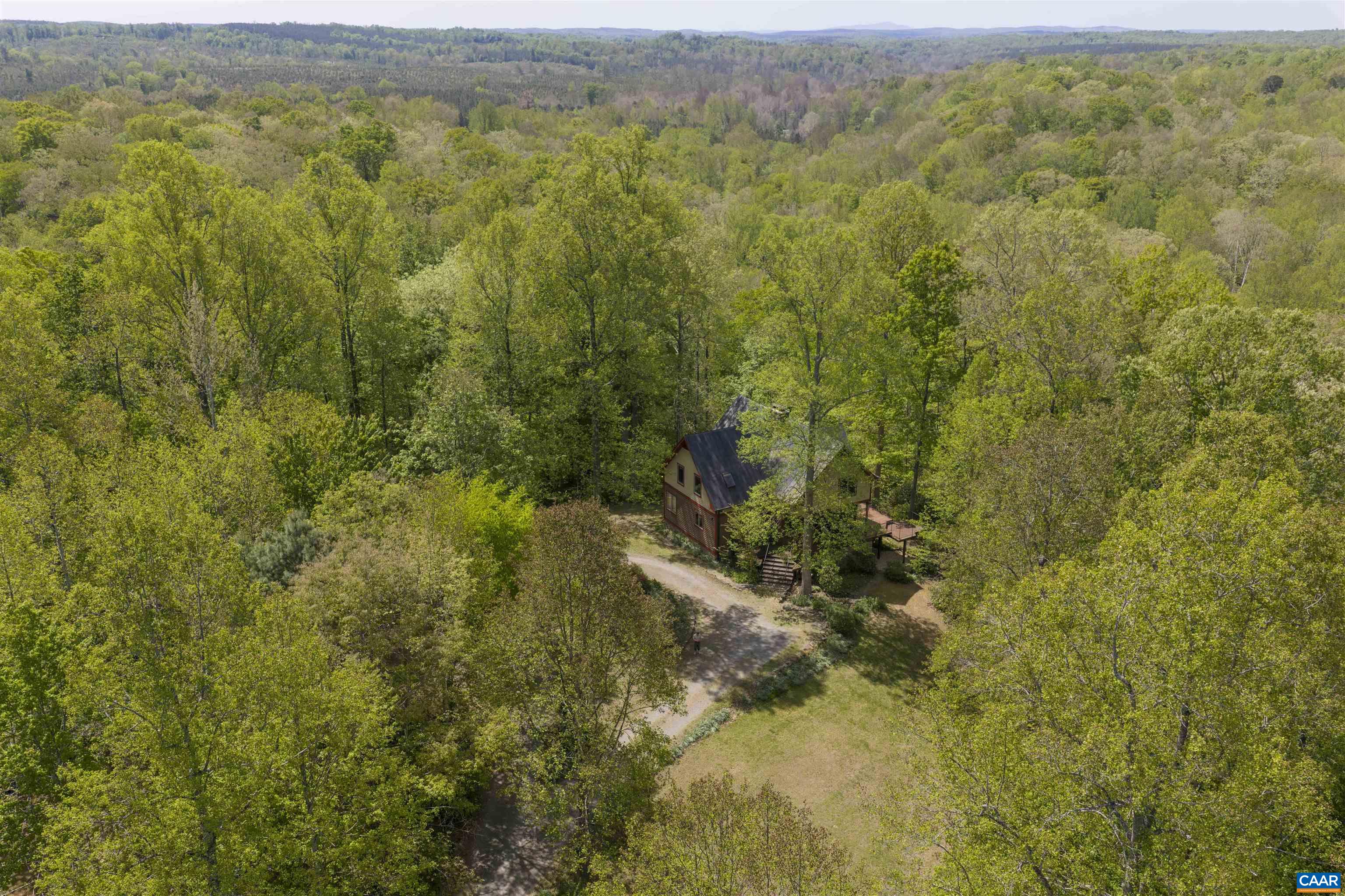 7530 Damon Road Schuyler, VA 22969 - Photo 3 of 72 a view of a forest with an outdoor space