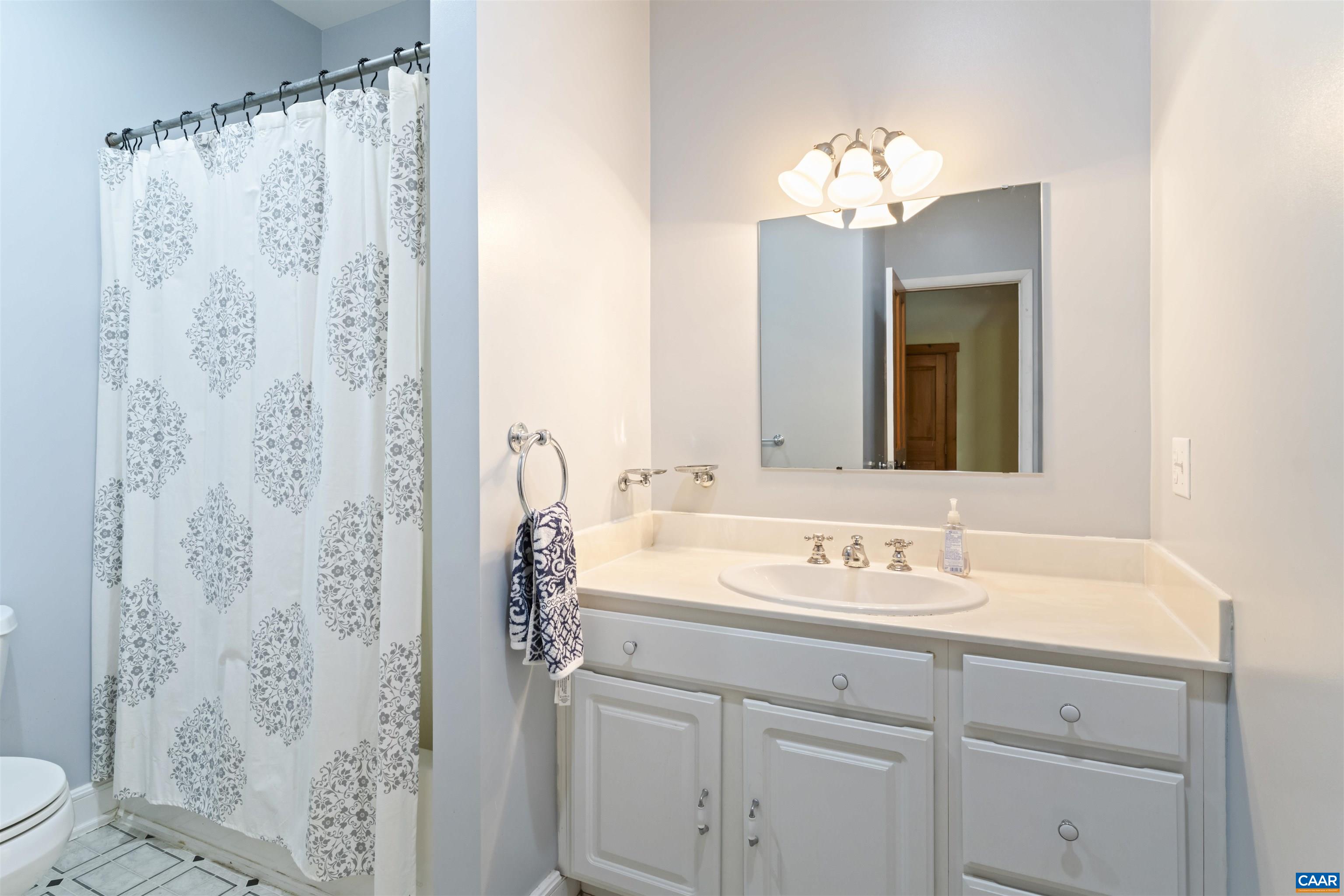 7530 Damon Road Schuyler, VA 22969 - Photo 36 of 72 a bathroom with a sink a toilet and a mirror